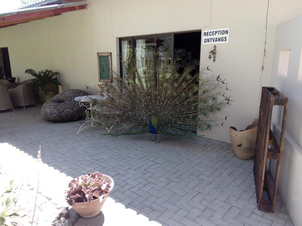 Xain Quaz Camp Hotel Gobabis Kültér fotó